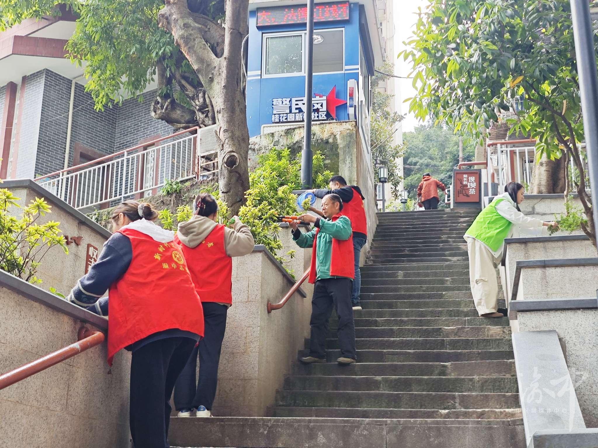 桂花园新村社区:志愿添新绿 家园更宜居.jpg