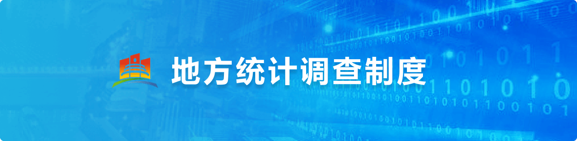 地方统计调查制度