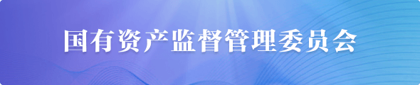 国有资产监督管理委员会