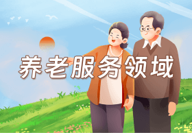养老服务领域