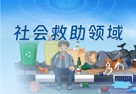 社会救助领域