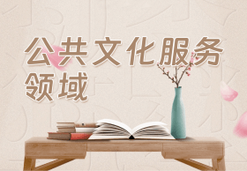 公共文化服务领域